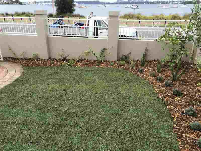 Choose the Best Lawn For Your Perth Landscape Project