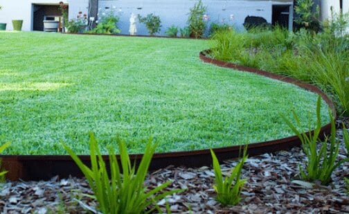 Professional lawn initialization service in Perth