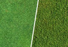 Synthetic Lawn vs Real Lawn – Which is Better?