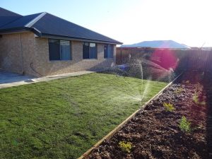 Watering newly installed Couch lawn