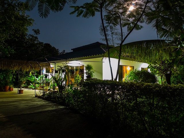 Landscaping for winter - image of garden in winter at night, all lit up