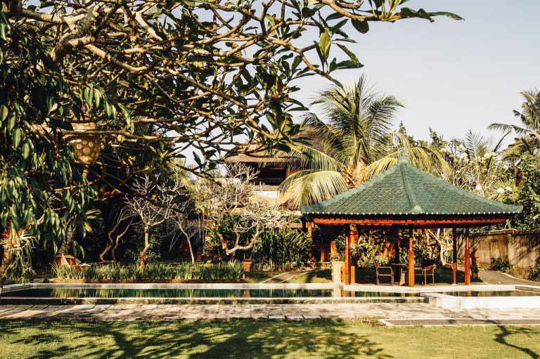 Image of a tropical garden